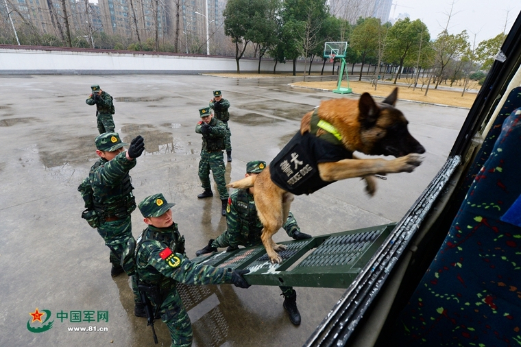 车型介绍 第13页